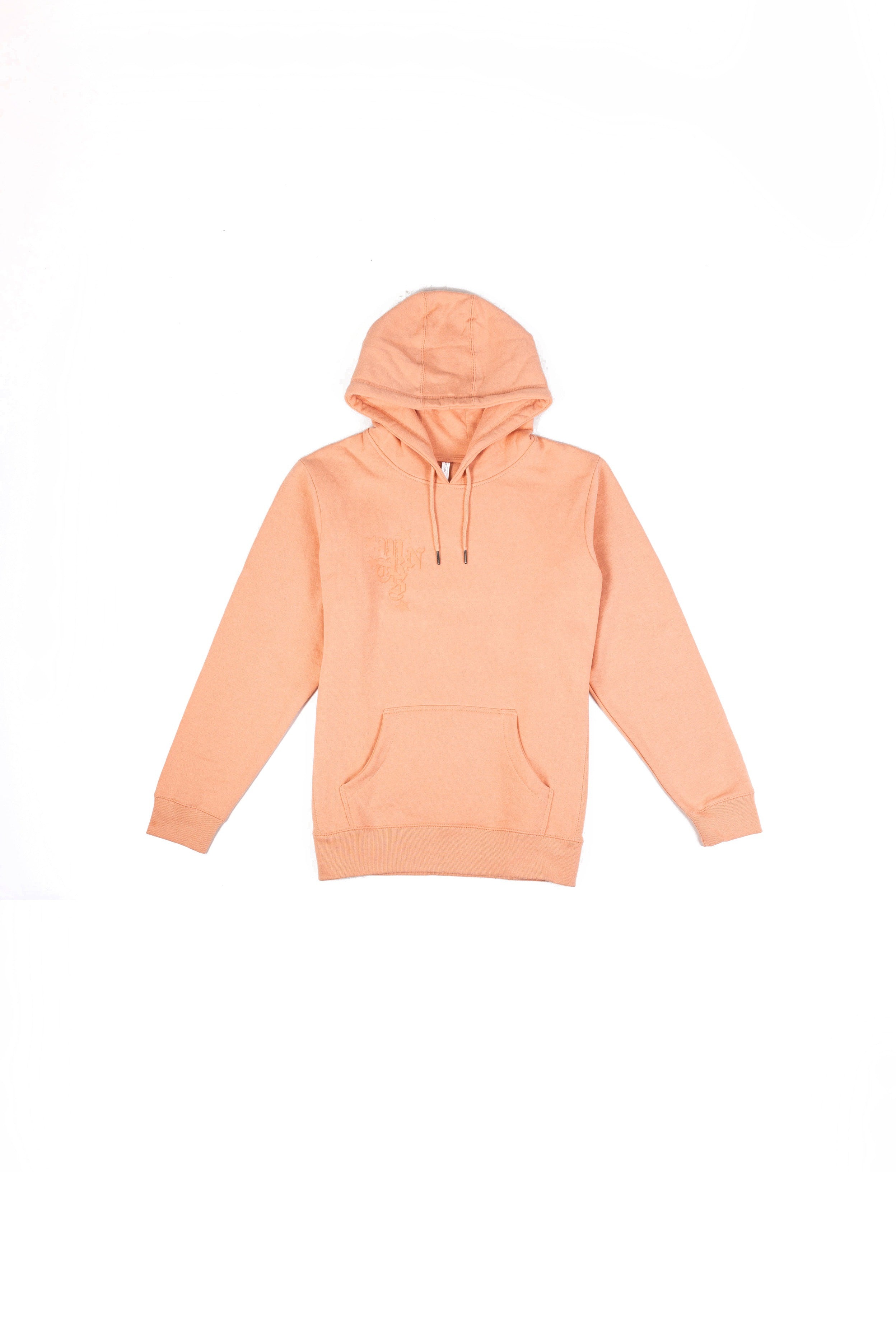 wrnts hoodie in salmon - Different Streetwear
